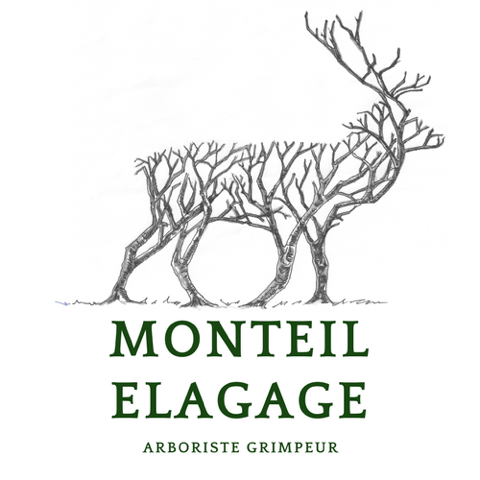 MONTEIL ELAGAGE - logo